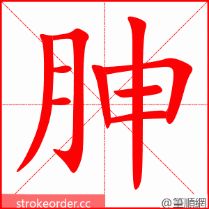 胂 的笔顺动画顺序