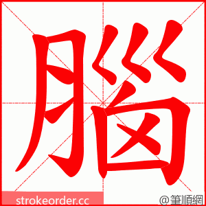 腦 的笔顺动画顺序