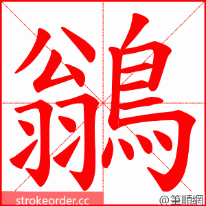 鶲 的笔顺动画顺序