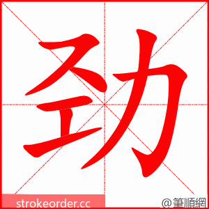劲 的笔顺动画顺序