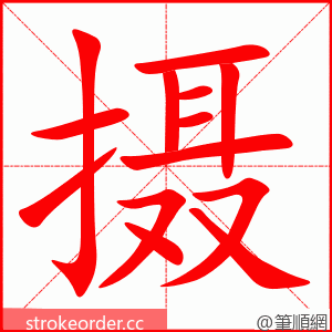 摄 的笔顺动画顺序