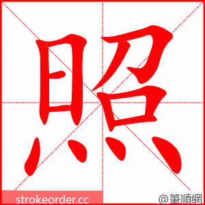 照 的笔顺动画顺序
