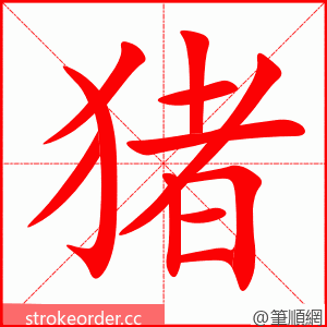 猪 的笔顺动画顺序
