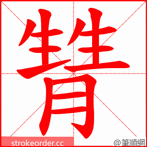 甧 的笔顺动画顺序