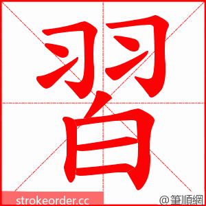 習 的笔顺动画顺序