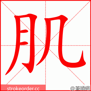 肌 的笔顺动画顺序