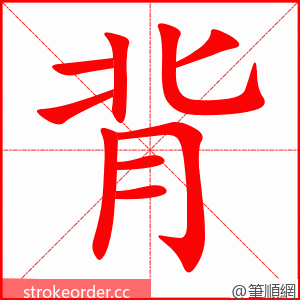 背 的笔顺动画顺序