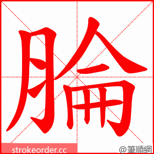 腀 的笔顺动画顺序