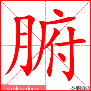 腑 的笔顺动画顺序