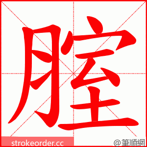 腟 的笔顺动画顺序