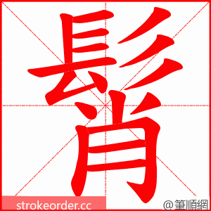 髾 的笔顺动画顺序