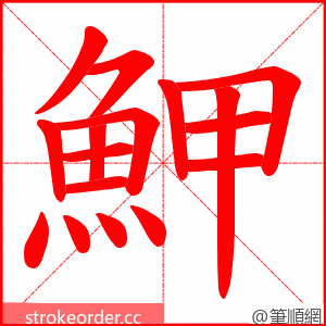 魻 的笔顺动画顺序