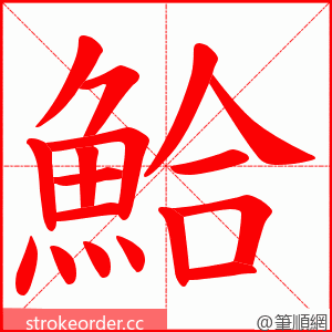 鮯 的笔顺动画顺序