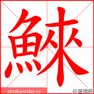 鯠 的笔顺动画顺序