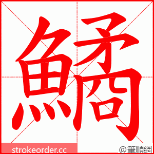 鱊 的笔顺动画顺序