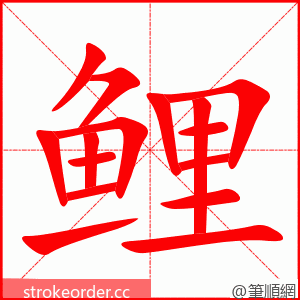 鲤 的笔顺动画顺序