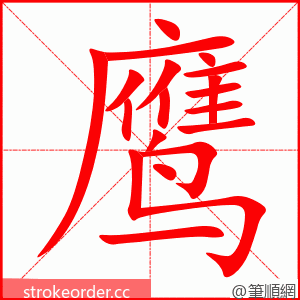 鹰 的笔顺动画顺序