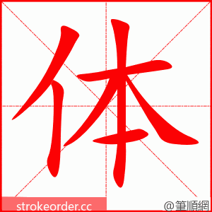 体 的笔顺动画顺序
