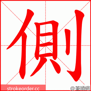 側 的笔顺动画顺序