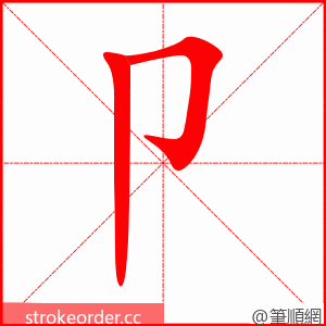 卩 的笔顺动画顺序