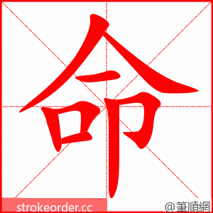命 的笔顺动画顺序