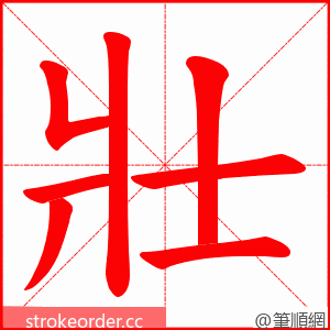 壯 的笔顺动画顺序