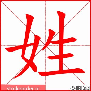 姓 的笔顺动画顺序