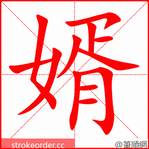 婿 的笔顺动画顺序