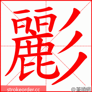 彲 的笔顺动画顺序