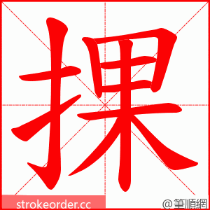 捰 的笔顺动画顺序