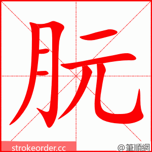 朊 的笔顺动画顺序