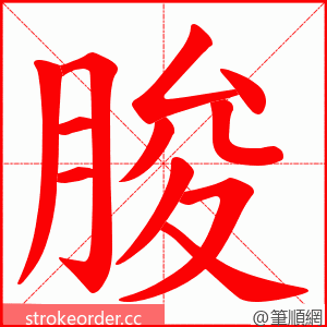 朘 的笔顺动画顺序