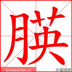 朠 的笔顺动画顺序