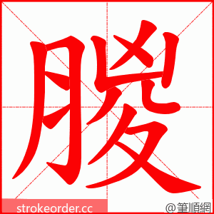 朡 的笔顺动画顺序