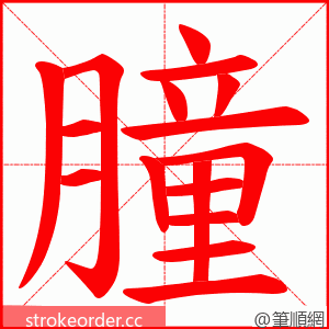 朣 的笔顺动画顺序