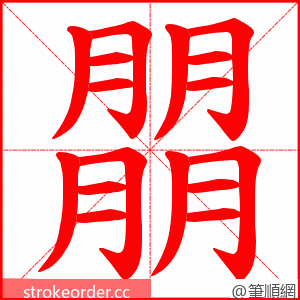 朤 的笔顺动画顺序