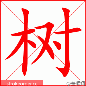 树 的笔顺动画顺序