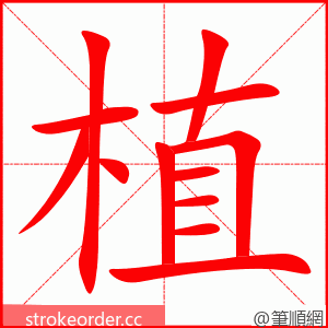 植 的笔顺动画顺序