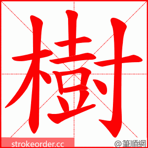 樹 的笔顺动画顺序