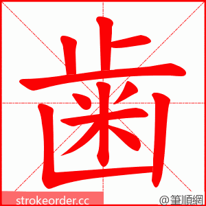 歯 的笔顺动画顺序