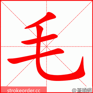 stroke order animation of 毛