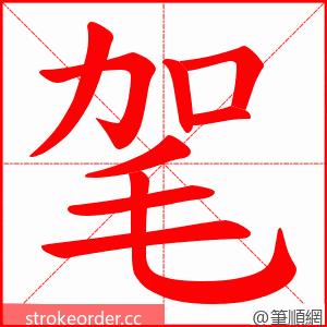 毠 的笔顺动画顺序