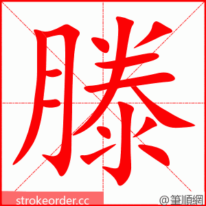 滕 的笔顺动画顺序