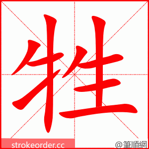 牲 的笔顺动画顺序