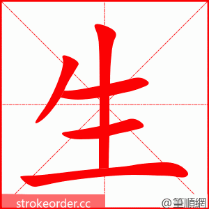 生 的笔顺动画顺序