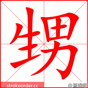 甥 的笔顺动画顺序