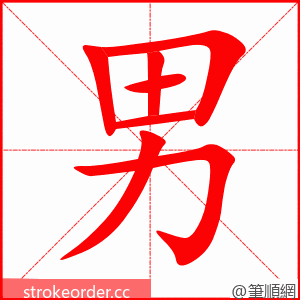 男 的笔顺动画顺序