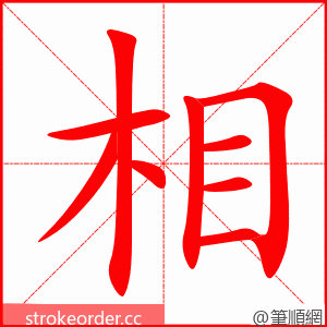 相 的笔顺动画顺序