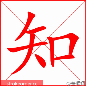 知 的笔顺动画顺序