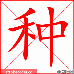 种 的笔顺动画顺序